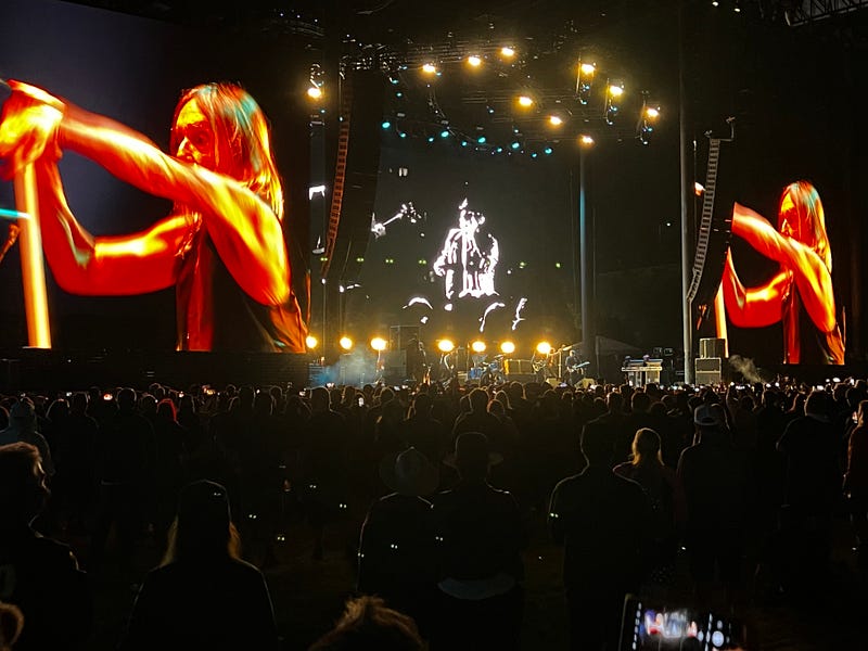 Iggy Pop at Cruel World Festival Pasadena