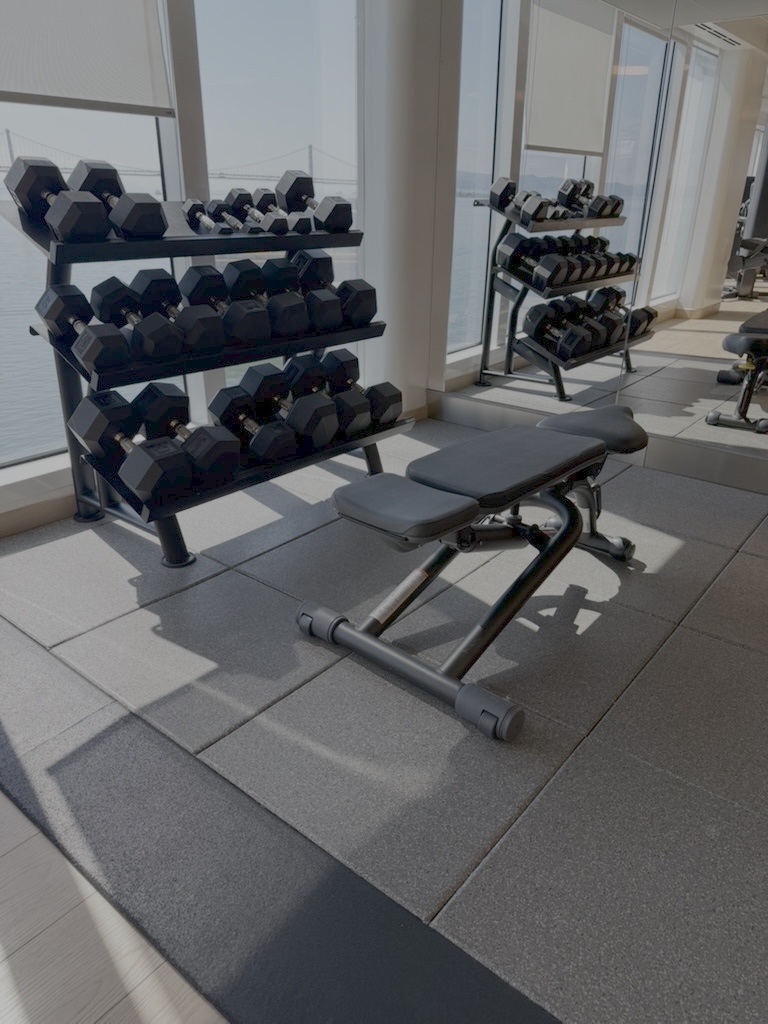 Brilliant Lady's gym with dumbbell rack and bench, a bridge visible through the windows