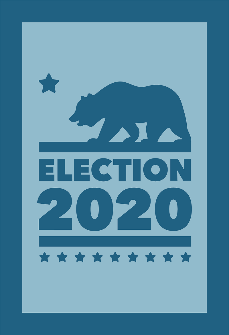 2020 General Election ballot header
